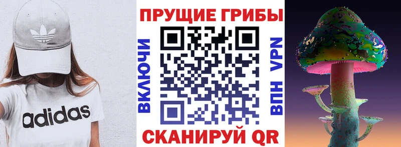 блэк спрут зеркало  Рославль  Псилоцибиновые грибы ЛСД  где можно купить  