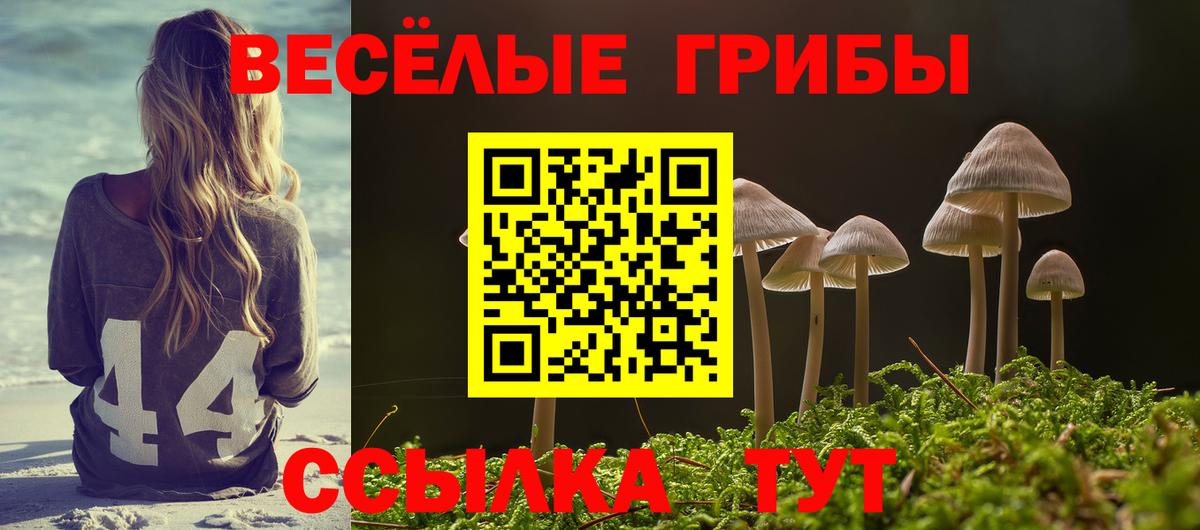 Псилоцибиновые грибы мухоморы  Галлюциногенные грибы Cubensis  Вход с VPN  Рославль 